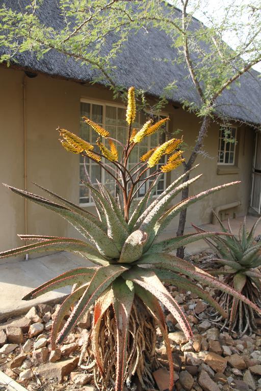 Treetops Marloth Park Exterior photo