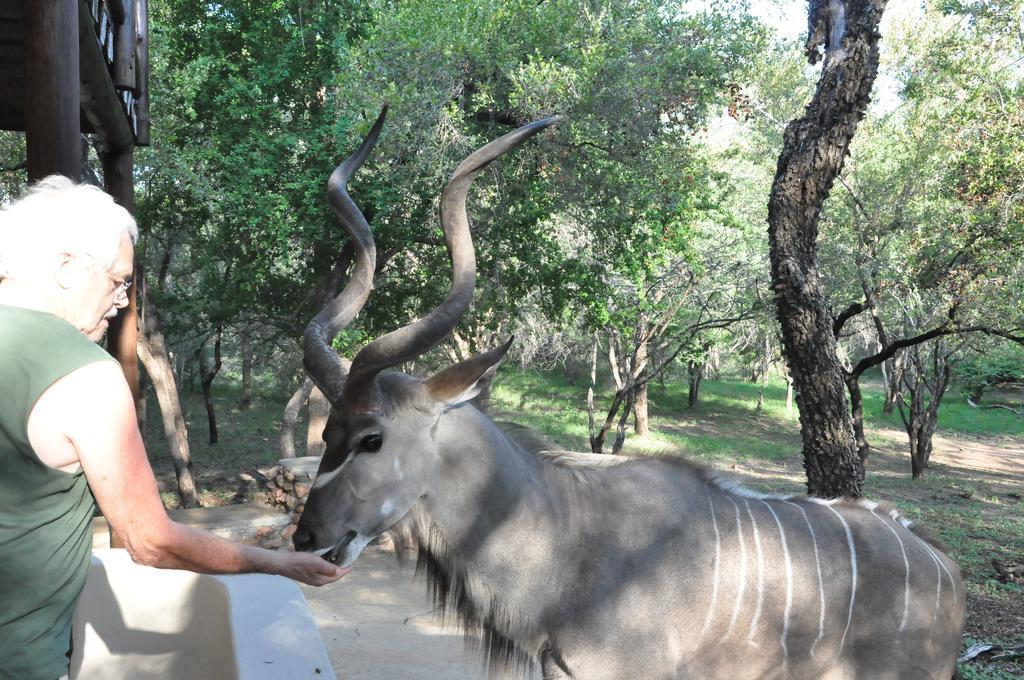 Treetops Marloth Park Exterior photo